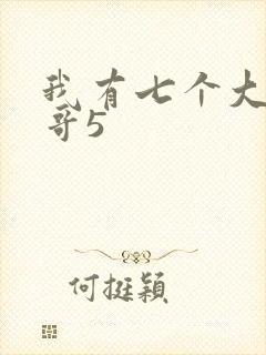 我有七个大佬哥哥5