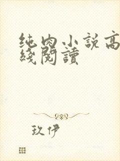 纯肉小说高h在线阅读