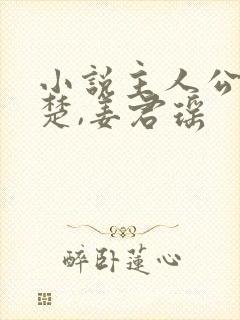 小说主人公叫叶楚,姜君瑶