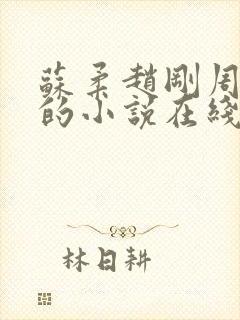 苏柔赵刚周明权的小说在线阅读全文最新