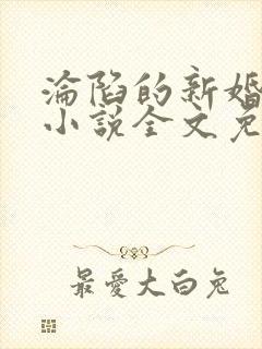 沦陷的新婚少归小说全文免费阅读正