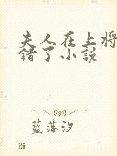 夫人在上将军知错了小说