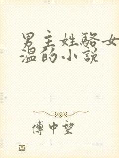 男主姓骆女主姓温的小说