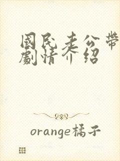 国民老公带回家剧情介绍