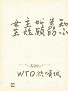 女主叫叶知秋男主姓顾的小说封面