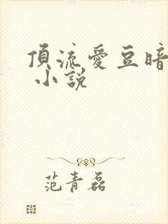 顶流爱豆暗恋我 小说