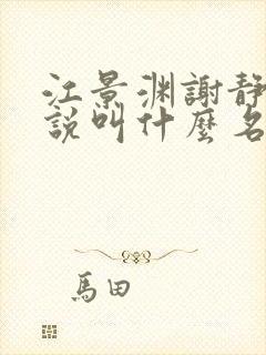 江景渊谢静姝小说叫什么名字