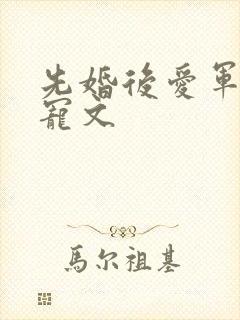 先婚后爱军婚甜宠文