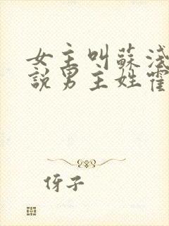 女主叫苏浅的小说男主姓霍