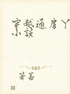 穿越通房丫鬟的小说