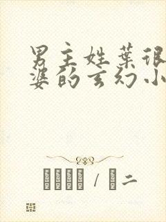 男主姓叶很多老婆的玄幻小说