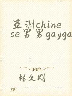 亚洲chinese男男gaygay网站