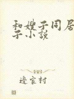 和嫂子同居的日子小说封面