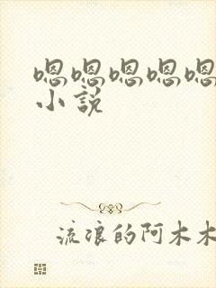 嗯嗯嗯嗯嗯啊啊小说封面