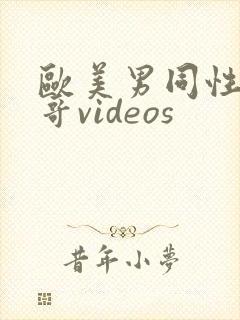 欧美男同性恋帅哥videos