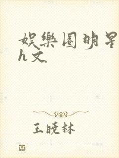 娱乐圈明星同人h文