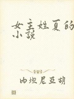 女主姓夏的现代小说