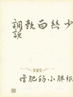 调教白丝少妇小说封面