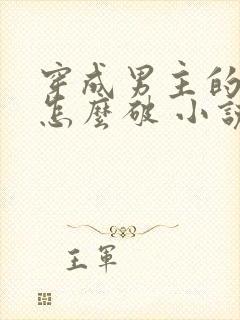 穿成男主的心魔怎么破 小说