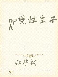 np双性生子高h