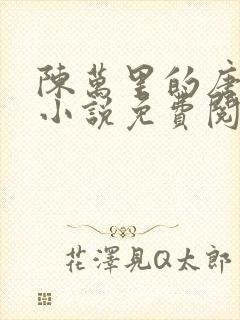 陈万里的唐嫣然小说免费阅读