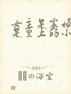 女主是寡妇男主是皇上的小说