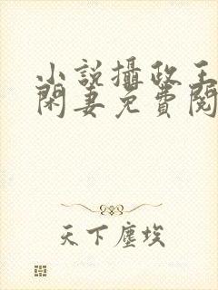 小说摄政王的小闲妻免费阅读