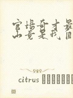 官场奇才最强靠山竟是我自己李霖在线全文