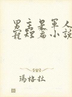 男主是军人的甜宠短篇小说封面