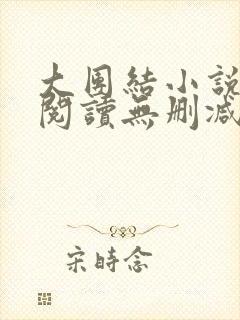 大团结小说在线阅读无删减