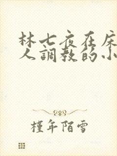 林七夜在床被主人调教的小说