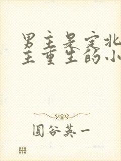 男主是定北侯女主重生的小说