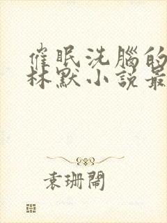 催眠洗脑的姐姐林默小说最新章节更封面