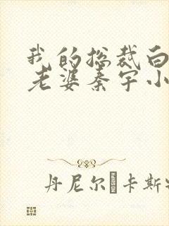 我的总裁白富美老婆秦宇小说正版