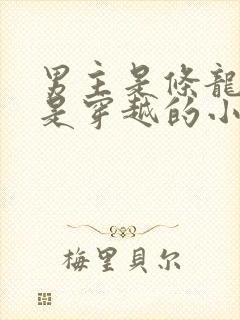 男主是条龙女主是穿越的小说封面