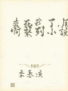 爽死我了,用力啊系列小说