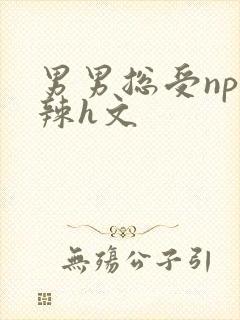 男男总受np高辣h文封面