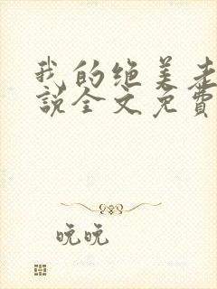 我的绝美老婆小说全文免费阅读