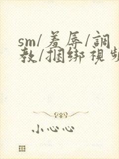 sm/羞辱/调教/捆绑视频