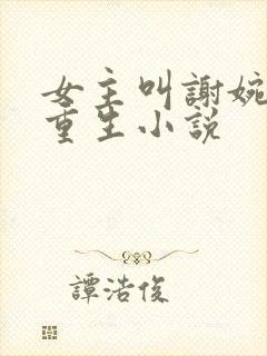 女主叫谢婉宁的重生小说