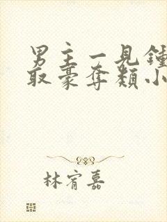 男主一见钟情强取豪夺类小说