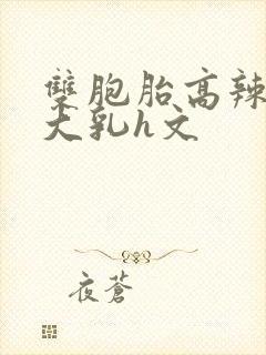 双胞胎高辣h文大乳h文封面