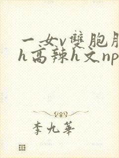 一女v双胞胎巨h高辣h文np