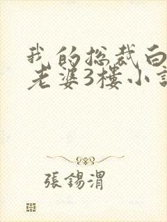 我的总裁白富美老婆3楼小说免费版