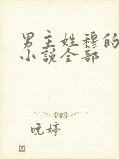男主姓穆的古代小说全部