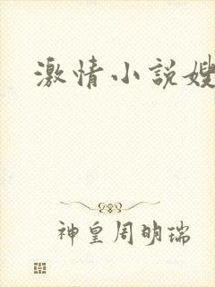 激情小说嫂子