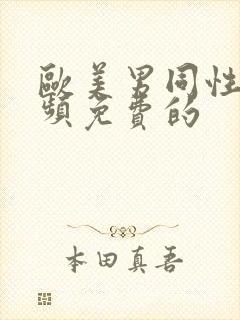 欧美男同性恋视频免费的封面