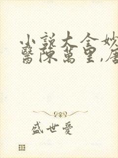 小说大全妙手龙医陈万里,唐嫣然