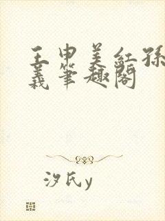 王申美红孙倩高义笔趣阁