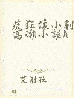 疯狂揉小到失禁高潮小说h